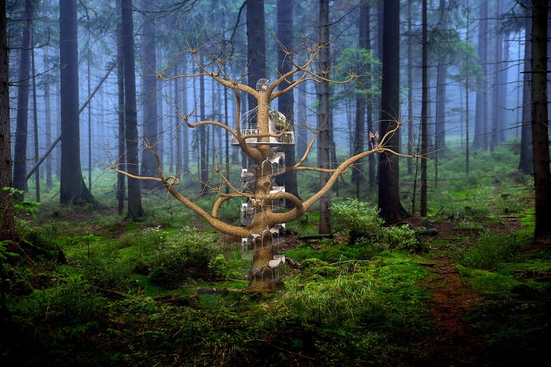 Fairytale Kingdoms